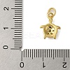 Rack Plating Brass Micro Pave Cubic Zirconia Charms KK-P279-12G-3