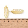 Rainbow Iridescent Plating Resin Pendants LS-RESI-C047-03C-G-3