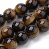 Natural Tiger Eye Beads Strands X-G-S259-21-8mm-1