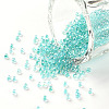 12/0 FGB Grade A Round Glass Seed Beads SEED-N001-E-318-1