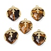 Natural Tiger Eye Faceted Pendants G-K347-09G-02-1