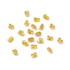 Iron Friction Ear Nuts IFIN-E012-G-2