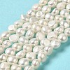 Natural Cultured Freshwater Pearl Beads Strands PEAR-E017-04-2