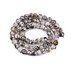 Natural Fire Crackle Agate Beads Strands G-C082-A01-43-3