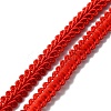 Polyester Braided Lace Trim OCOR-WH0079-51A-1
