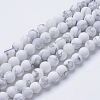Natural Howlite Beads Strands LS-G-T055-6mm-02-1