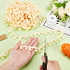 Nylon Pom Pom Ball Tassel Lace Ribbon DIY-WH0580-31C-3