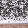 MIYUKI Delica Beads LS-X-SEED-J020-DB0038-4