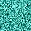 MIYUKI Round Rocailles Beads SEED-X0055-RR4475-3