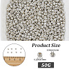 50G Glass Seed Beads SEED-PA0001-36B-01-2