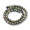 Natural Serpentine/Green Lace Stone Bead Strands G-R411-11-6mm-2