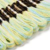 10 Skeins 6-Ply Polyester Embroidery Floss OCOR-K006-A14-2