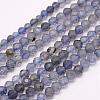 Natural Cordierite/Iolite/Dichroite Beads Strands G-F509-15-2mm-1