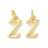Brass Pendants KK-M273-03G-Z-1