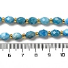 Natural Apatite Beads Strands G-H297-C03-01-4