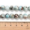 Natural Larimar Beads Strands G-L642-B19-8mm-5