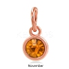 Rose Gold Plated Alloy Glass Rhinestone Charms PALLOY-TAC0016-A11-RG-1