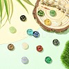 14Pcs 14 Colors Handmade Lampwork Beads LAMP-CJ0002-86-5