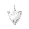 304 Stainless Steel Micro Pave Cubic Zirconia Pendants STAS-U042-02A-P-1