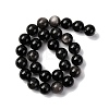 Natural Silver Sheen Obsidian Beads Strands G-F808-C01-14mm-3