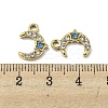 304 Stainless Steel Charms X-STAS-L022-060G-01-3