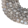 Natural Labradorite Beads Strands G-L654-O02-8mm-3