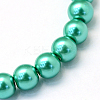 Baking Paint Pearlized Glass Pearl Round Bead Strands HY-Q003-14mm-29-2