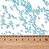 12/0 Transparent Glass Seed Beads X-SEED-F003-03C-10-4