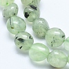 Natural Prehnite Beads Strands G-E483-71-3