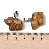 Natural Picture Jasper Pendants G-B127-02P-04-4