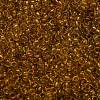TOHO 6/0 Round Beads X-SEED-TR06-2155-3