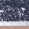 MIYUKI Round Rocailles Beads X-SEED-G007-RR4518-4