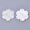 Natural Freshwater Shell Pendants SHEL-N026-31-2