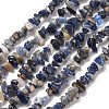 Natural Sodalite Chips Beads Strands LS-F024-2