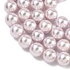 Electroplated Shell Pearl Beads Strands BSHE-G041-10mm-06-3