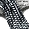Eco-Friendly Dyed Glass Pearl Round Beads Strands HY-A002-6mm-RB077-3