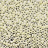 MIYUKI Delica Beads SEED-MY11-DB1521-3
