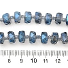 Transparent Electroplate Glass Beads Strands EGLA-P062-01A-FR01-4