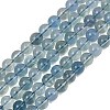 Natural Blue Fluorite Beads Strands GG-CBAF158-6mm-2