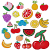 20Pcs 20 Styles Fruits Computerized Embroidery Cloth Iron on/Sew on Patches PATC-AR0001-18-1