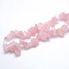 Natural Rose Quartz Beads Strands X-G-O049-B-60-3