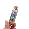 Transparent Glass Wishing Bottle Decoration PW-WG92605-01-5