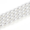 Baking Paint Pearlized Glass Pearl Bead Strands HY-T002-01B-01-3