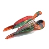 Acrylic Claw Hair Clips for Women Girls LS-PHAR-I011-03-3