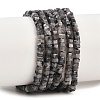 Natural Larvikite Beads Strands G-G345-C05-2x4mm-2