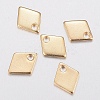 304 Stainless Steel Charms LS-X-STAS-H436-53-1
