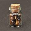 Transparent Glass Wishing Bottle Decoration DJEW-A001-01C-12-1