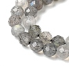 Natural Labradorite Beads Strands G-H336-A08-05-4