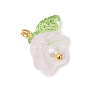 Glass Charms PALLOY-MZ00838-04-1