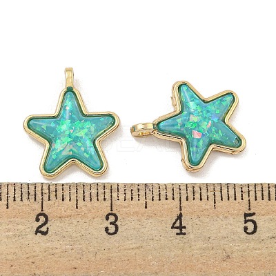Translucent Resin Pendants KK-M291-24-1